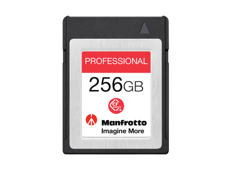 Professional 256GB, PCIe 3.0, 1730MB/s CFexpress™ Type B Memory Card