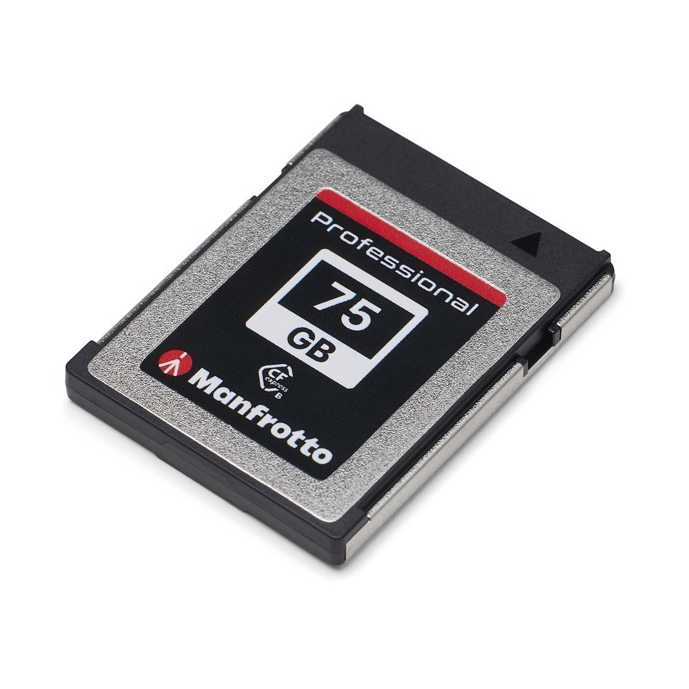 Professional 75GB, PCIe 3.0, CFexpress™ Type B Memory Card