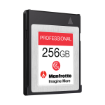 Professional 256GB